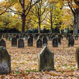 Servizio cimiteriale e ambiente