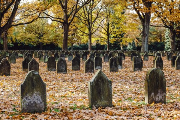 Servizio cimiteriale e ambiente